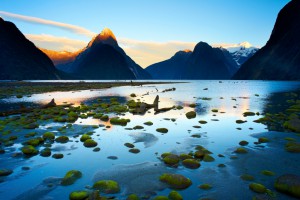 Landschaft in Neuseeland