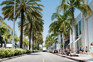 Rodeo Drive